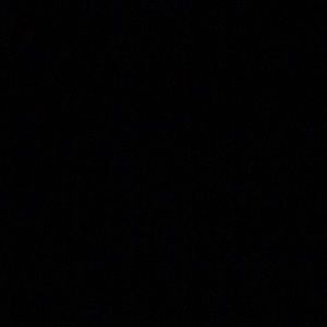 Meet your Posher, Siera